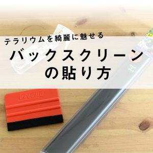 水槽　バックスクリーンの貼り方