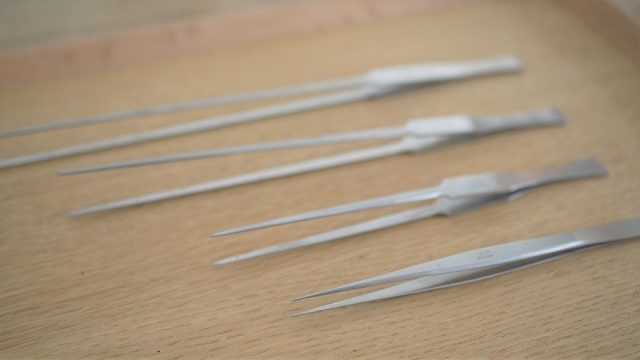 苔テラリウム用ピンセット
