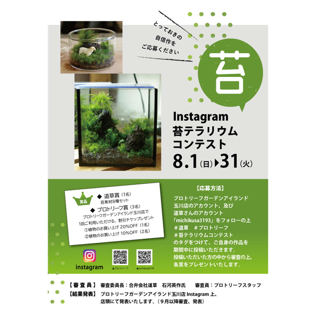 Instagram苔テラリウムコンテスト プロトリーフ 苔テラリウム専門サイト 道草michikusa 苔テラリウム 小さなコケの森 コケ商品の企画販売 ワークショップ Instagram苔テラリウムコンテスト プロトリーフ 苔テラリウム専門サイト 道草michikusa 苔テラリウム 小さなコケの森 コケ商品の企画販売 ワークショップ