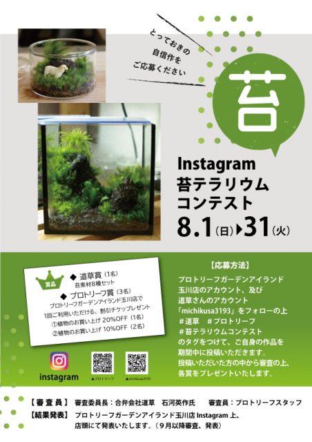 Instagram苔テラリウムコンテスト プロトリーフ 苔テラリウム専門サイト 道草michikusa 苔テラリウム 小さなコケの森 コケ商品の企画販売 ワークショップ Instagram苔テラリウムコンテスト プロトリーフ 苔テラリウム専門サイト 道草michikusa 苔テラリウム 小さなコケの森 コケ商品の企画販売 ワークショップ