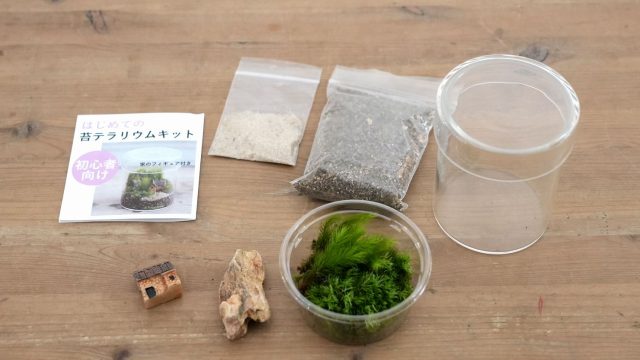 苔テラリウムキット　初心者用