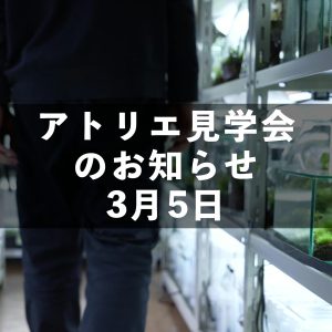 見学会