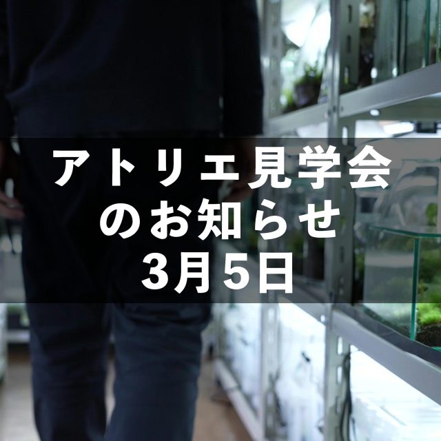 見学会