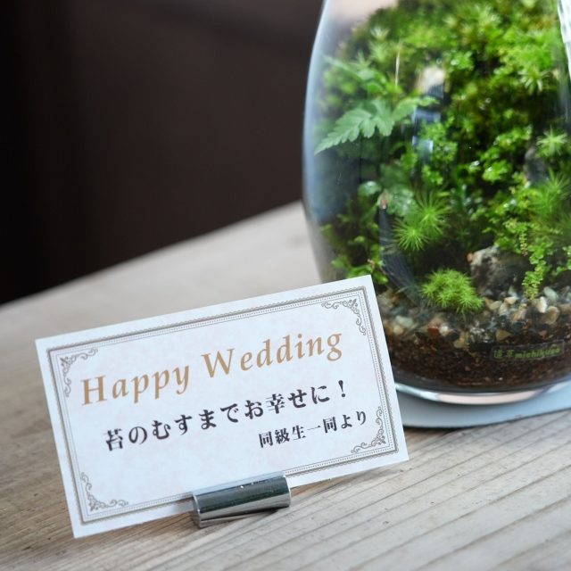 苔テラリウム　結婚祝い