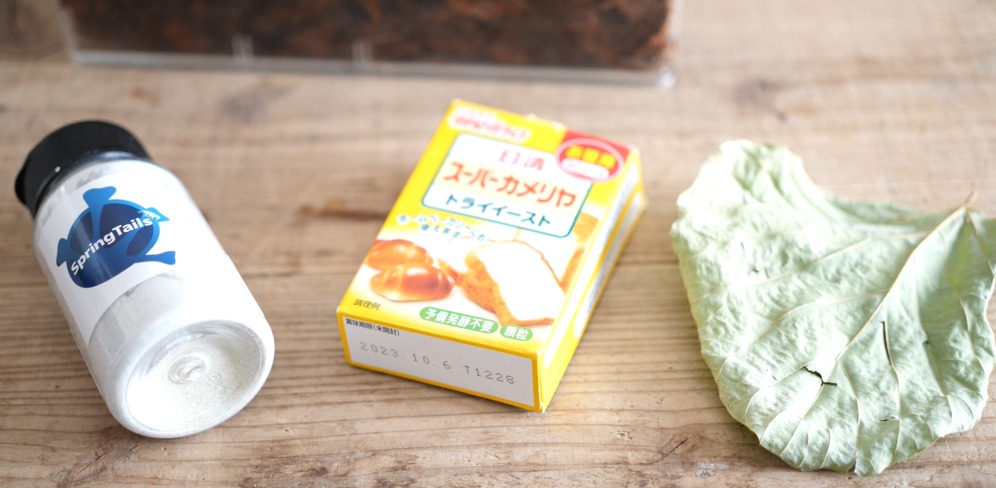 トビムシのエサ