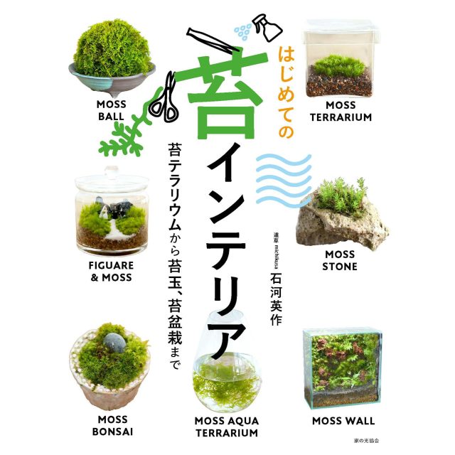 はじめての苔インテリア