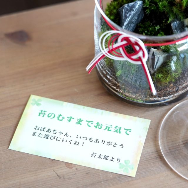 苔テラリウム　敬老の日