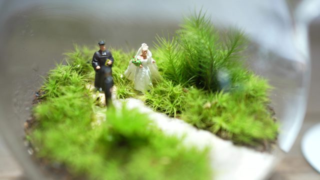 苔テラリウム　結婚祝い