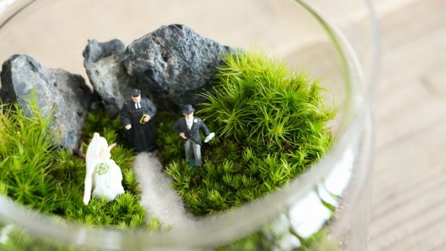 苔テラリウム　結婚祝い