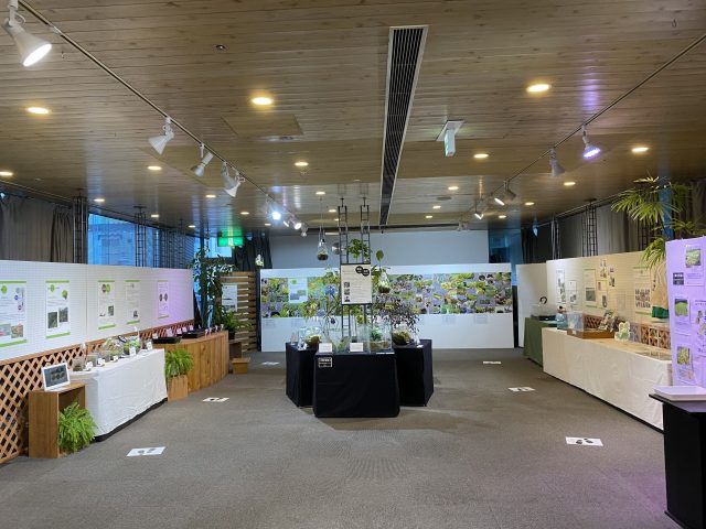 東京苔展2展示の様子