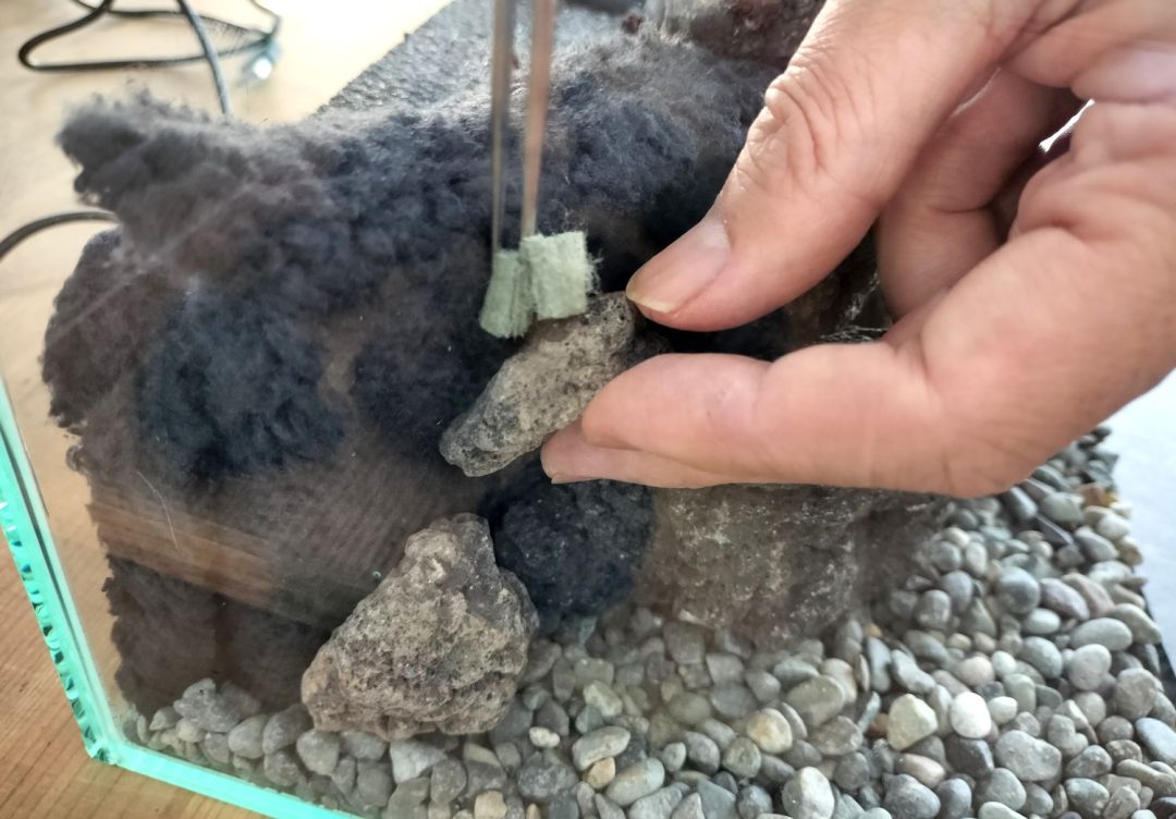 小さな滝のある苔テラリウムをつくる【20㎝CUBE水槽】 | 苔 小さな滝のある苔テラリウムをつくる【20㎝CUBE水槽】 | 苔