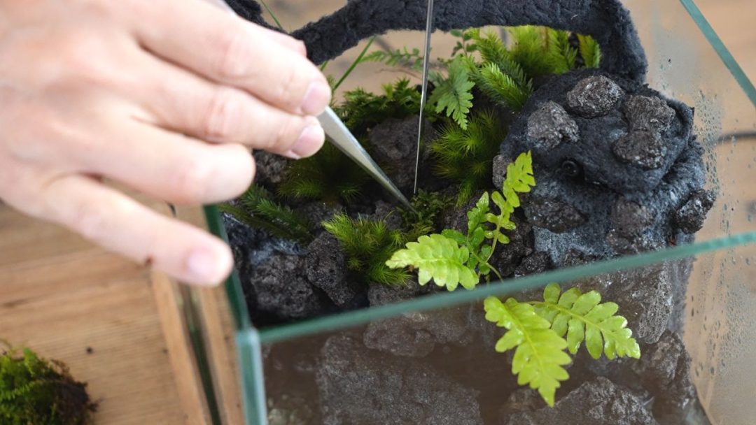 小さな滝のある苔テラリウムをつくる【20㎝CUBE水槽】 | 苔 小さな滝のある苔テラリウムをつくる【20㎝CUBE水槽】 | 苔