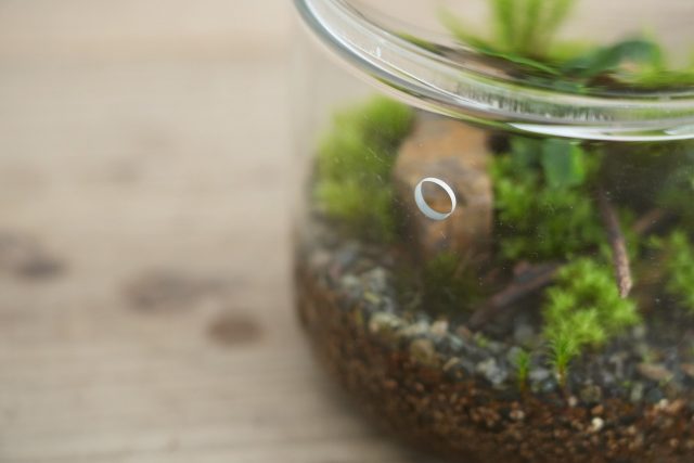 通気のある容器