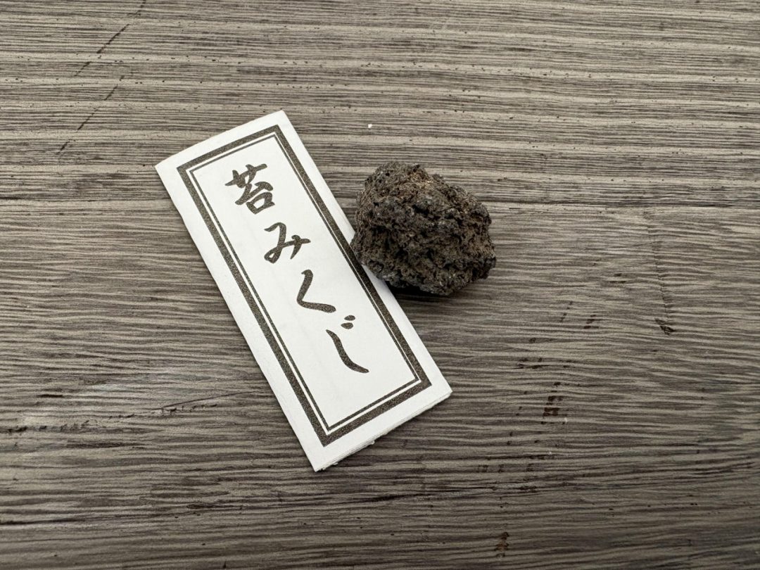 苔みくじ