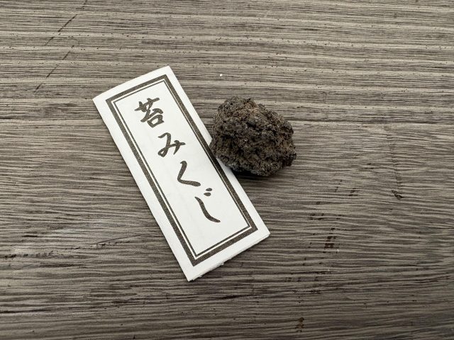 苔みくじ