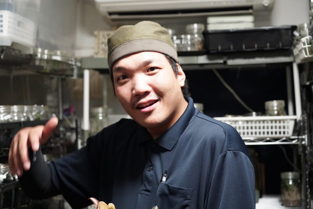 ジュエルオーキッド生産者GAKI