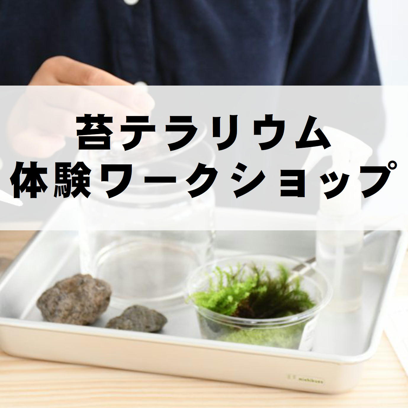 道草アトリエ】苔テラリウム体験ワークショップ参加受付中 | 苔
