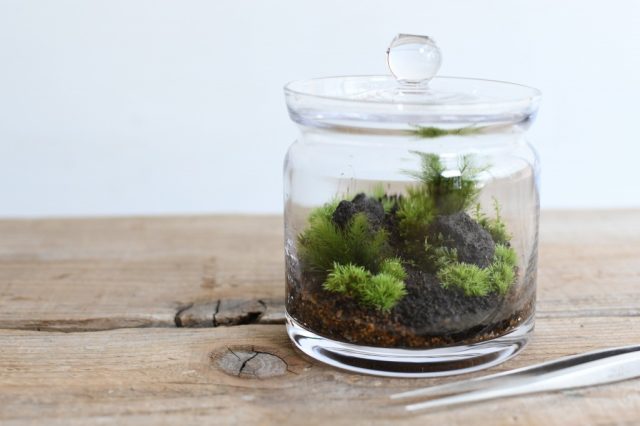 ワークショップ作製見本