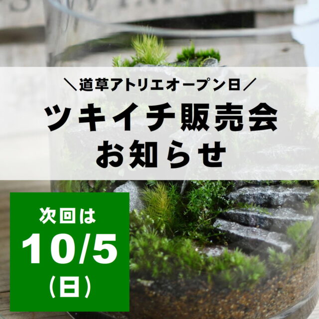 ❣️苔アート❣️ハラダ様オーダー専用❣️苔リューム❣️送料込み❣️ 苔楽@苔テラリウムクリエイター on X: 