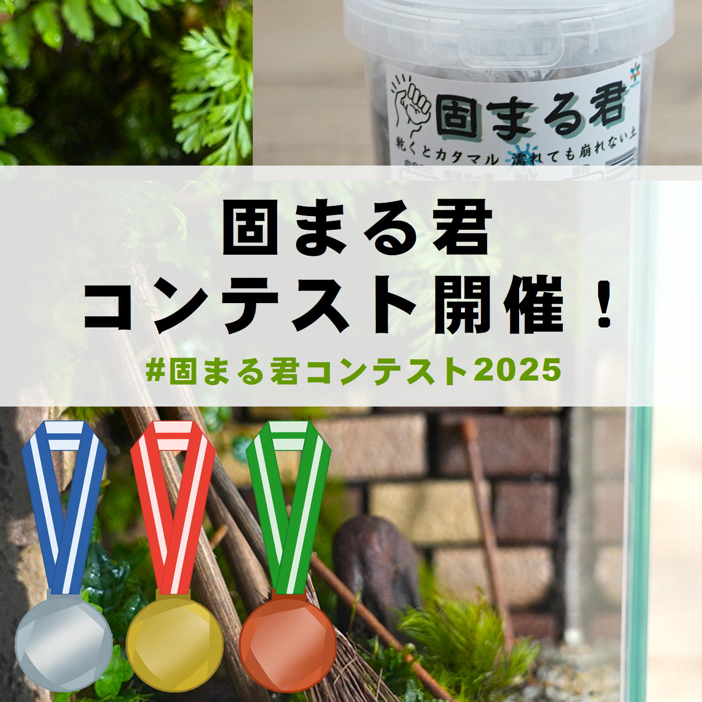 ぐんぐん玉(1㎏) +ぐんぐん岩(1㎏)2点 まとめ商品 ぐんぐん玉(1㎏) +ぐんぐん岩(1㎏)2点 まとめ商品 - メルカリ